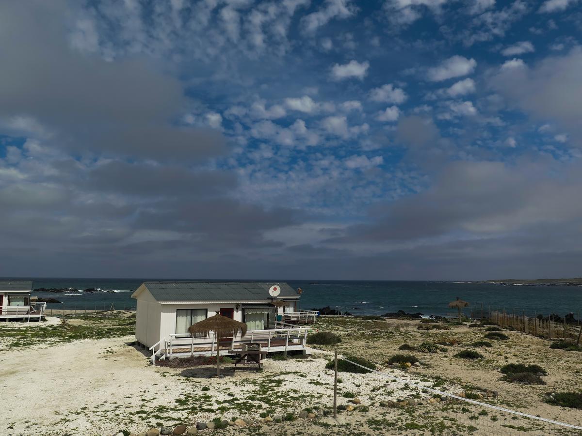 Refugio Humboldt Villa Punta de Choros Exterior foto