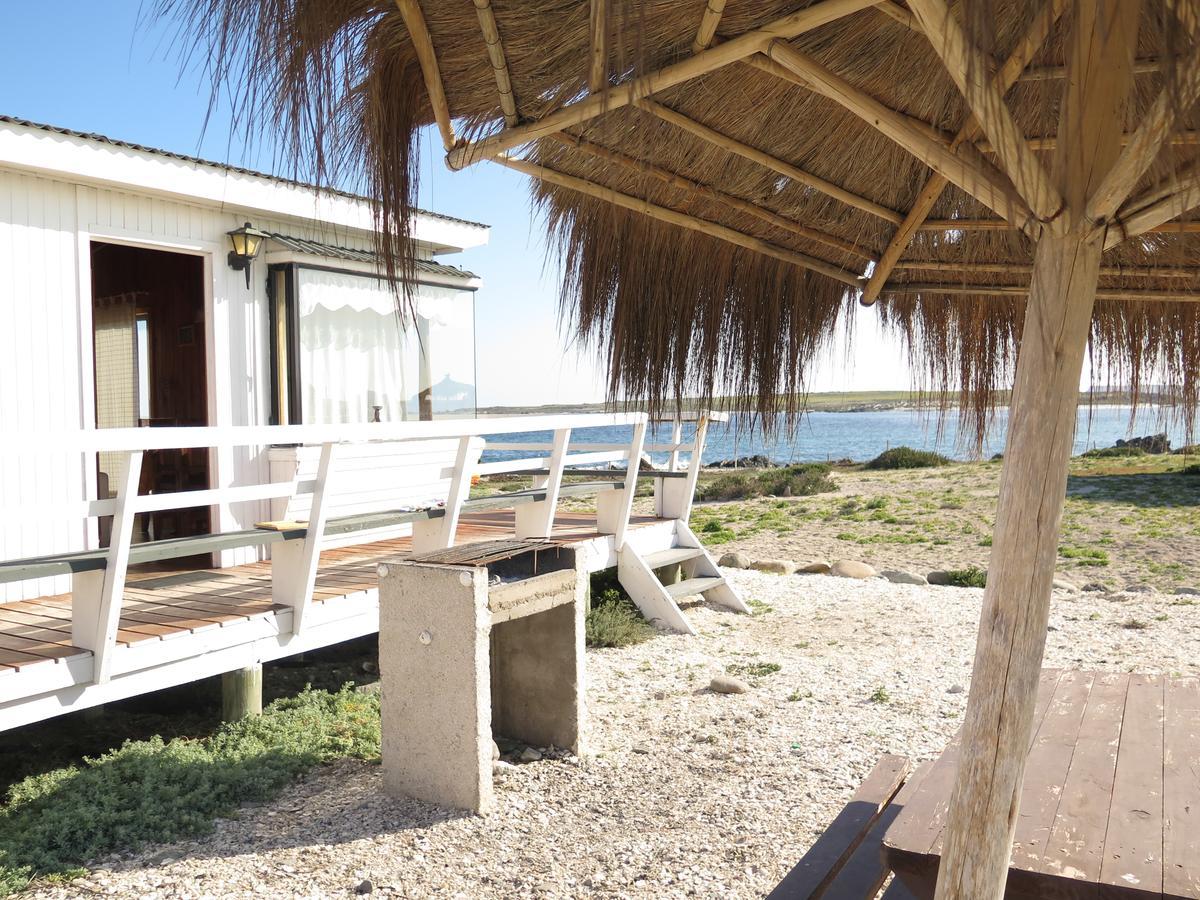 Refugio Humboldt Villa Punta de Choros Exterior foto