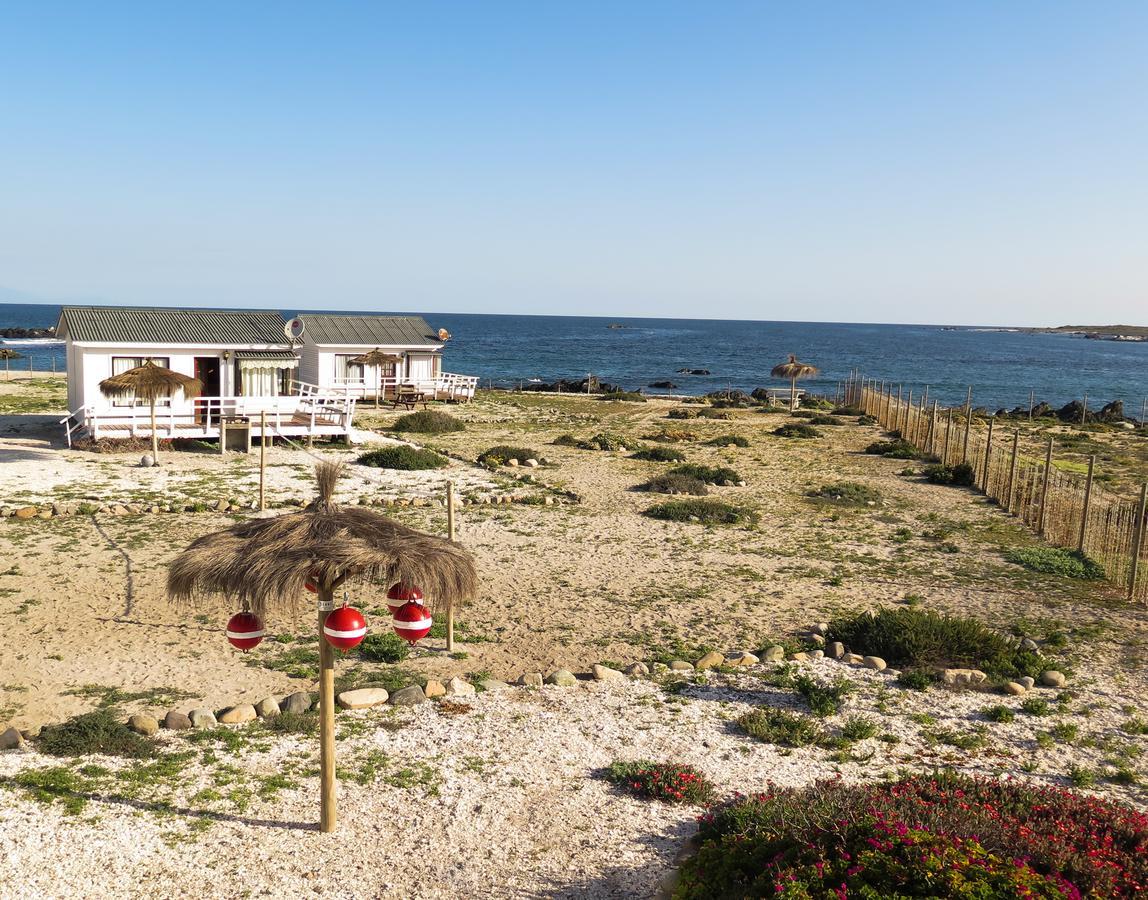 Refugio Humboldt Villa Punta de Choros Exterior foto